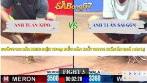 Trận 3 bồ CPC3 14/4/2026