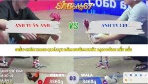 Trận 3 bồ Xà Xía 12/4/2026
