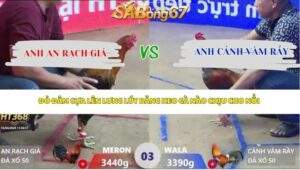Trận 3 bồ Xà Xía 16/4/2026