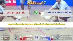 Trận 3 Bồ Xà Xía 17/4/2026