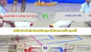 Trận 3 bồ Xà Xía 22/4/2026