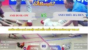Trận 3 bồ Xà Xía 23/4/2026