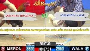Trận 30 Bồ CPC2 25/4/2026