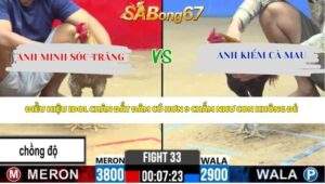 Trận 33 Bồ CPC2 24/4/2026