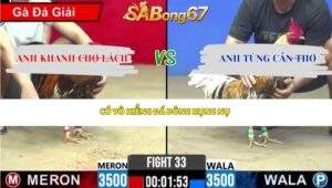 Trận 33 Bồ CPC2 25/4/2026