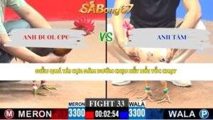 Trận 33 bồ CPC3 27/4/2026