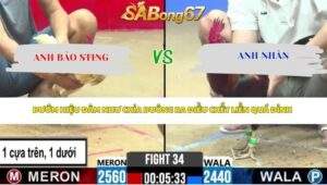 Trận 34 Bồ CPC2 24/4/2026: