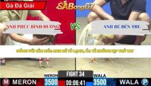 Trận 34 Bồ CPC2 25/4/2026
