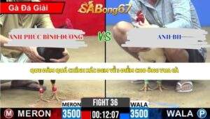 Trận 36 Bồ CPC2 25/4/2026