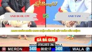 Trận 36 bồ CPC3 26/4/2026