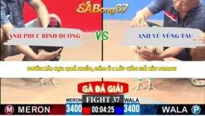 Trận 37 bồ CPC3 26/4/2026