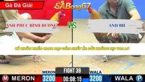 Trận 39 Bồ CPC2 25/4/2026