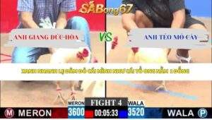 Trận 4 bồ CPC3 26/4/2026