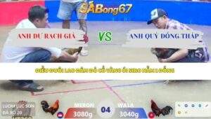 Trận 4 bồ Xà Xía 13/4/2026