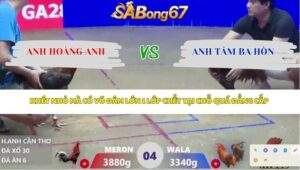 Trận 4 bồ Xà Xía 14/4/2026