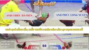 Trận 4 bồ Xà Xía 18/4/2026