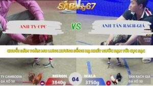 Trận 4 bồ Xà Xía 23/4/2026