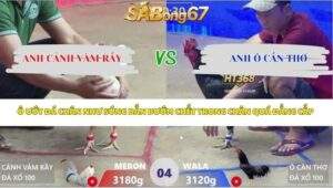 Trận 4 bồ Xà Xía 26/4/2026