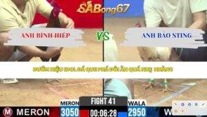 Trận 41 bồ CPC2 15/4/2026