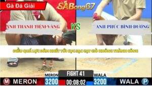 Trận 41 Bồ CPC2 25/4/2026