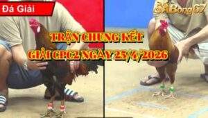 Trận 44 bồ CPC2 25/4/2026