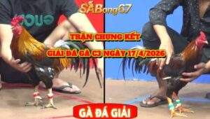 Trận 44 bồ CPC3 27/4/2026
