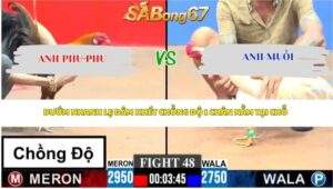 Trận 48 bồ CPC3 23/4/2026
