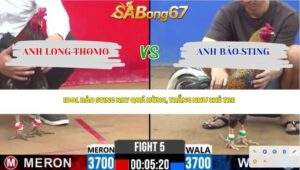 Trận 5 bồ CPC2 10/4/2026