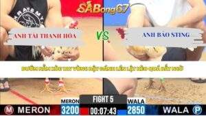 Trận 5 Bồ CPC2 22/4/2026