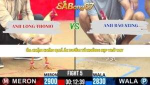 Trận 5 Bồ CPC2 24/4/2026