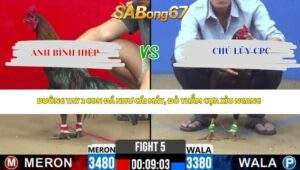 Trận 5 Bồ CPC2 25/4/2026