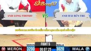 Trận 5 bồ CPC2 28/4/2026