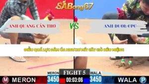 Trận 5 bồ CPC3 27/4/2026