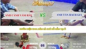 Trận 5 bồ Xà Xía 16/4/2026