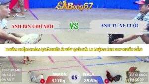 Trận 5 Bồ Xà Xía 17/4/2026