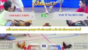 Trận 5 bồ Xà Xía 18/4/2026