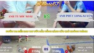 Trận 5 bồ Xà Xía 22/4/2026