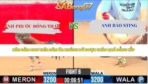 Trận 6 Bồ CPC2 17/4/2026