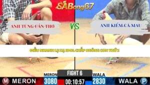 Trận 6 Bồ CPC2 21/4/2026