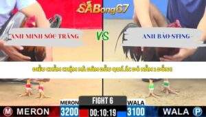 Trận 6 bồ CPC2 29/4/2026