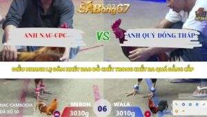 Trận 6 bồ Xà Xía 12/4/2026