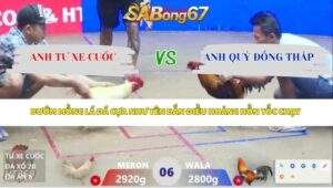 Trận 6 bồ Xà Xía 14/4/2026