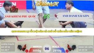 Trận 6 bồ Xà Xía 19/4/2026