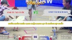 Trận 6 bồ Xà Xía 24/4/2026