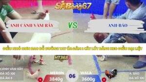 Trận 6 bồ Xà Xía 26/4/2026