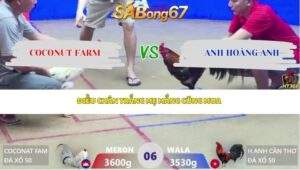 Trận 6 bồ Xà Xía 30/4/2026