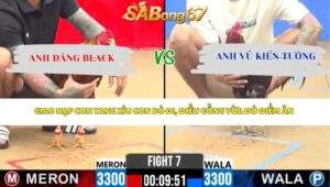 Trận 7 Bồ CPC2 22/4/2026