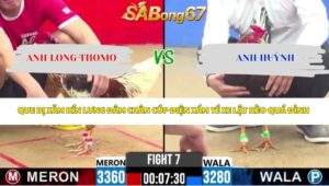 Trận 7 bồ CPC2 28/4/2026