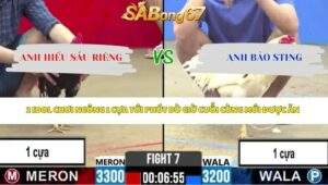 Trận 7 bồ CPC2 29/4/2026