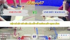 Trận 7 bồ Xà Xía 12/4/2026